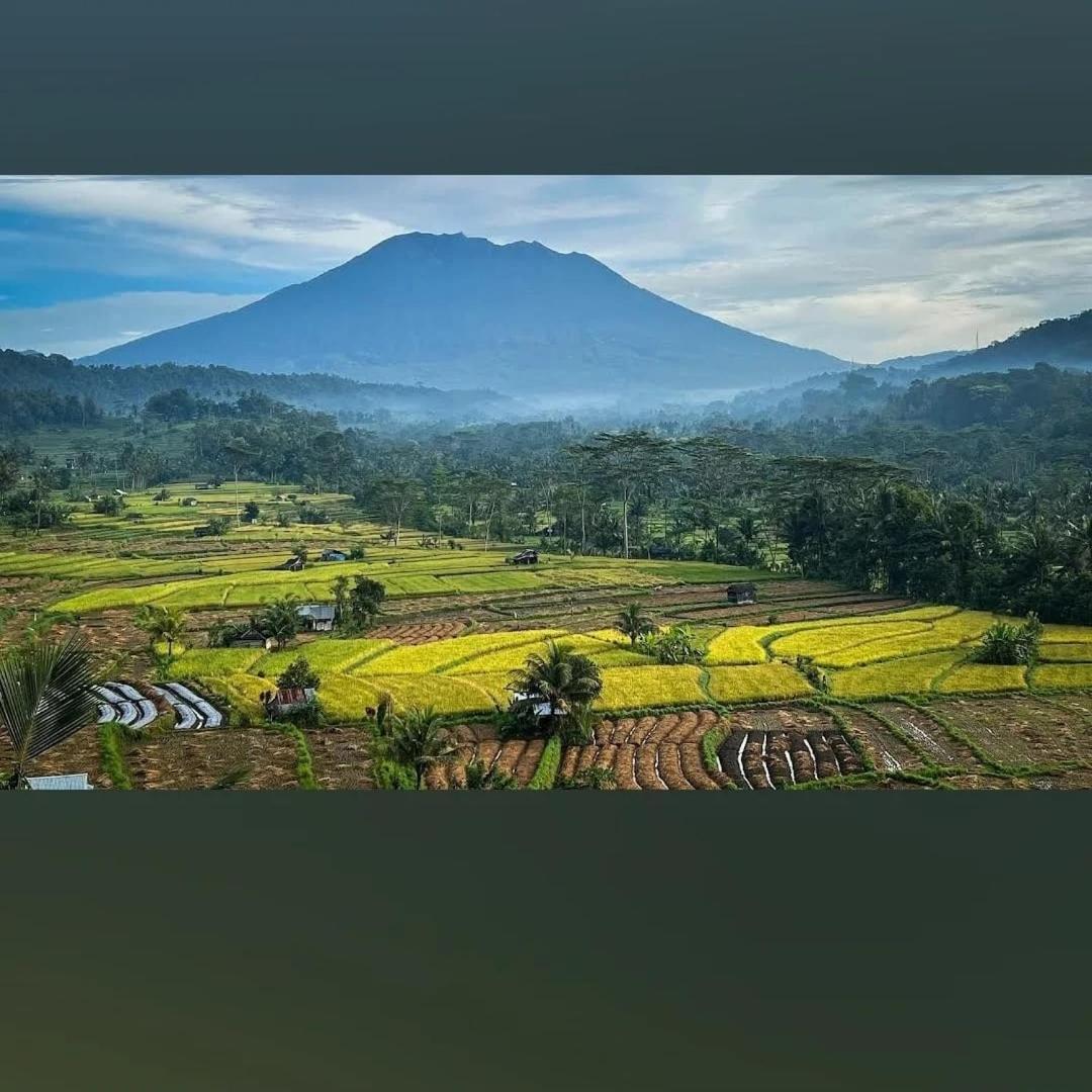 Lumbung Ayu Sari And Spa Sidemen  Dış mekan fotoğraf