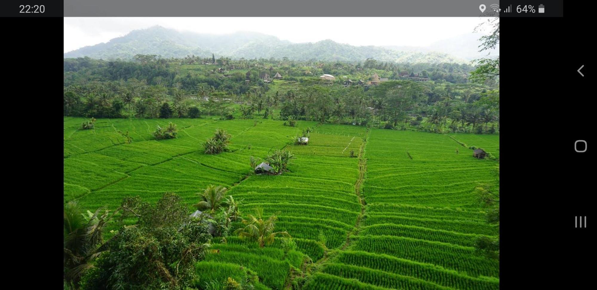 Lumbung Ayu Sari And Spa Sidemen  Dış mekan fotoğraf
