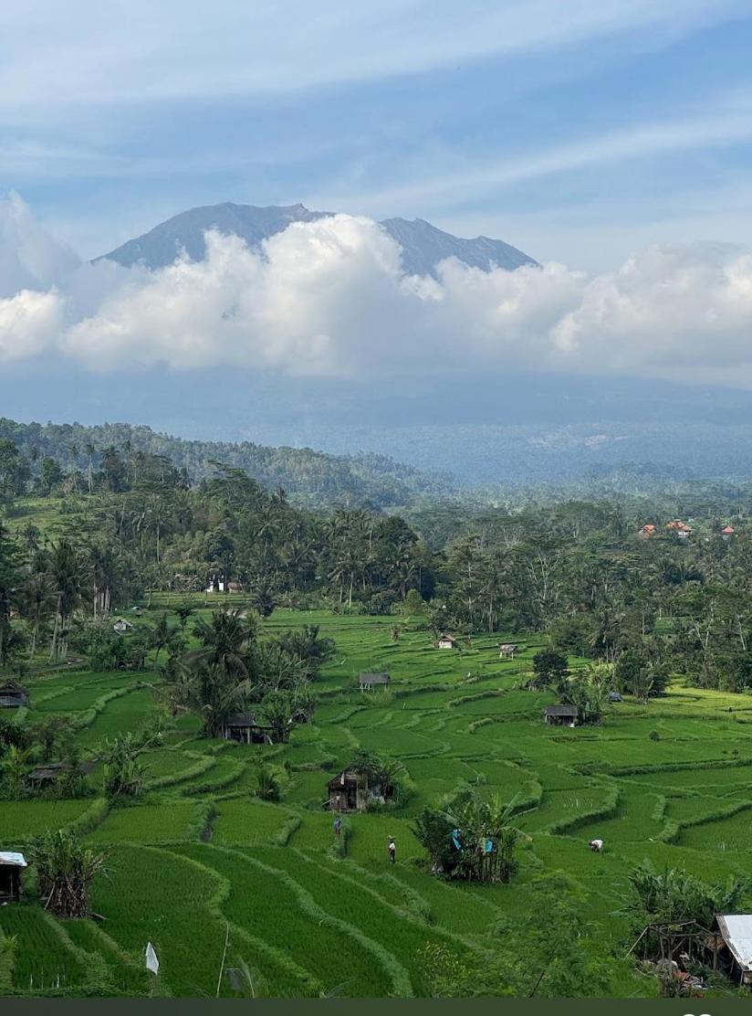 Lumbung Ayu Sari And Spa Sidemen  Dış mekan fotoğraf