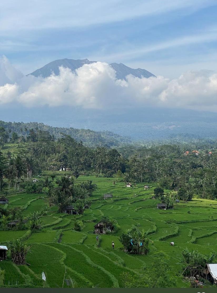 Lumbung Ayu Sari And Spa Sidemen  Dış mekan fotoğraf